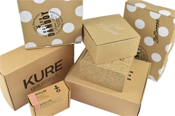 Експрес-доставка Коробки в Zwijnaarde BE